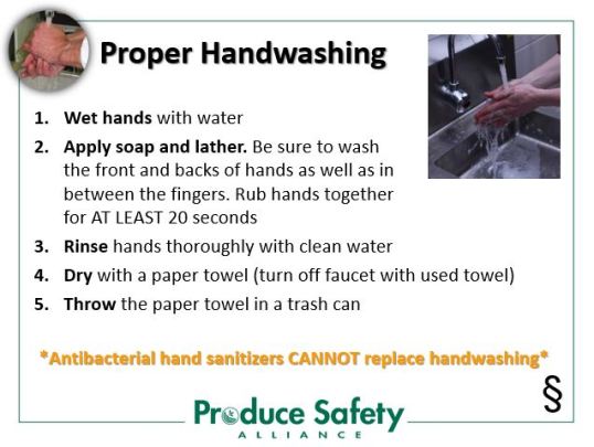 Proper Handwashing slide from the PSA Grower Training