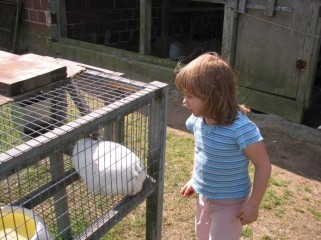 girl and rabbit at petting zoo