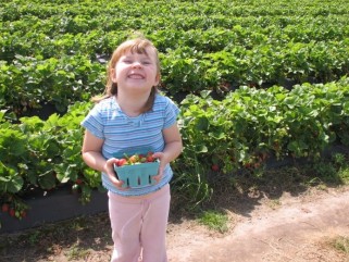 girl in a pick-your-own strawberry field
